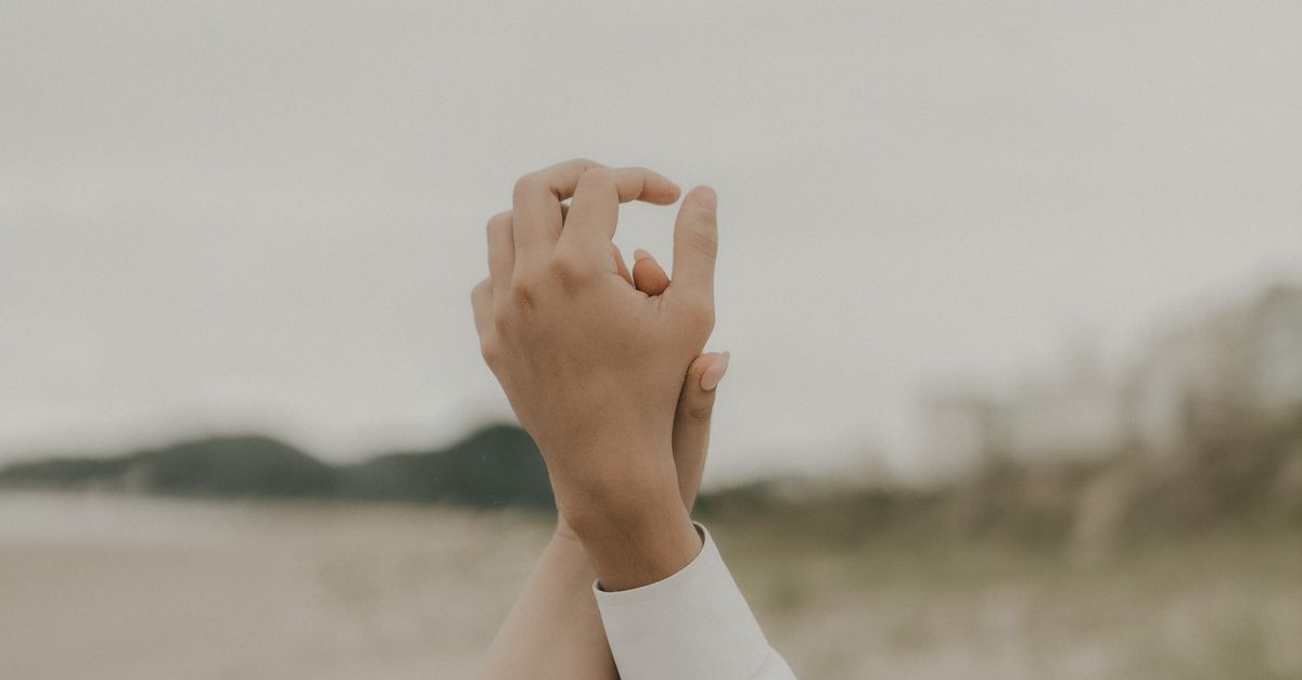 Budget-Friendly Wedding Venues in Coffs Harbour
