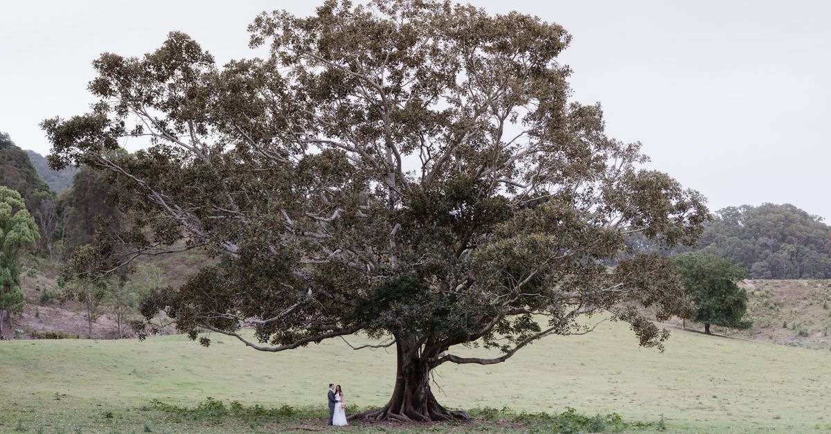 The Impact of Natural Light in Documentary Wedding Photography